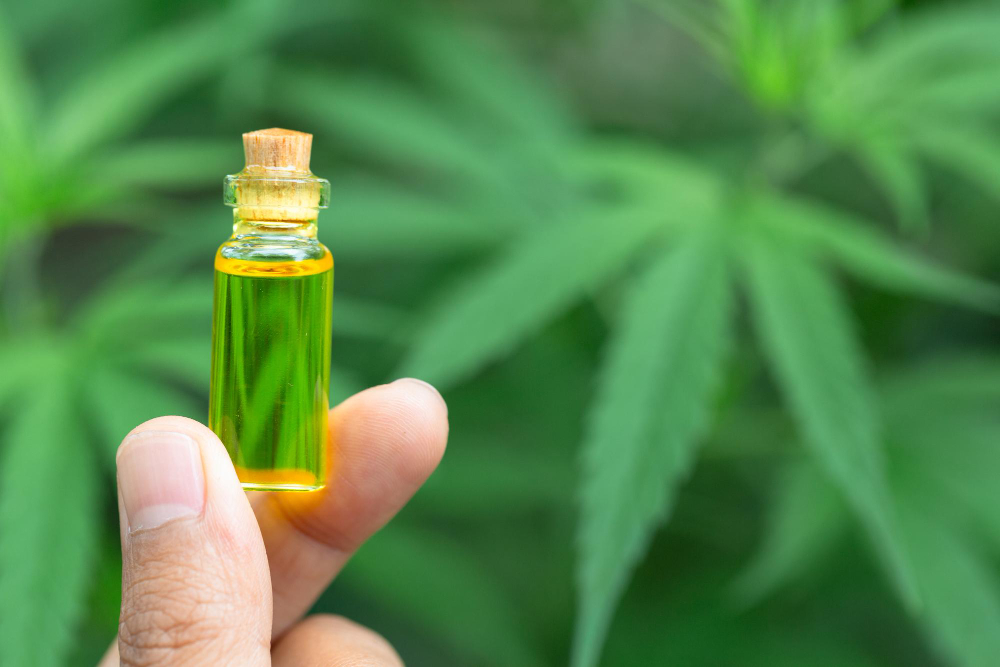 Guide On Traveling With CBD oil