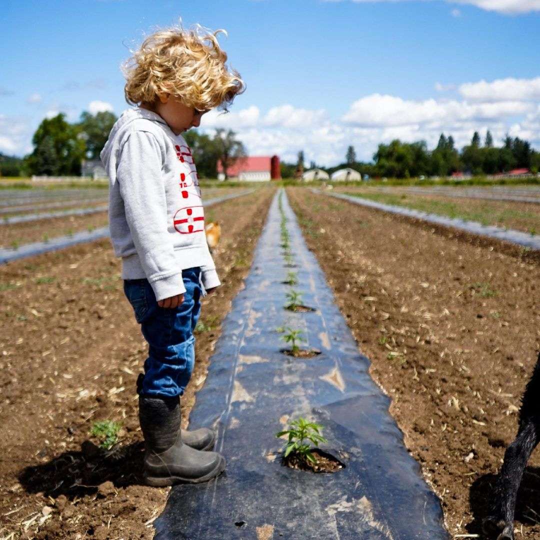 Cooper looking at plants