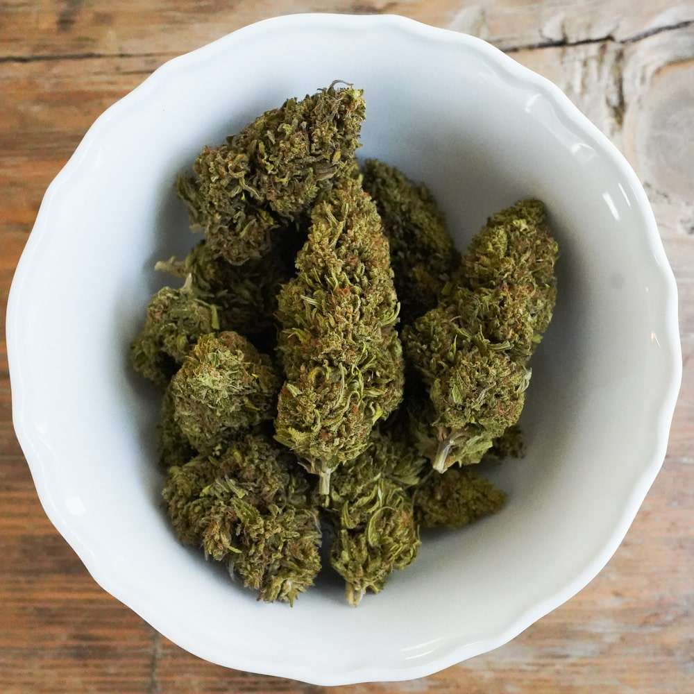 Oregon Sweetgum Hemp Flower