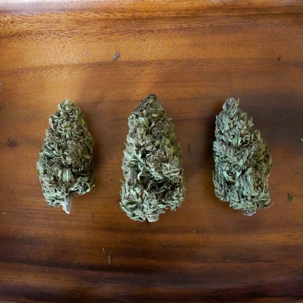 2023 Pineapple Kush Hemp Flower