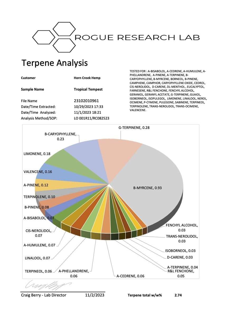 2023 Tropical Tempest COA