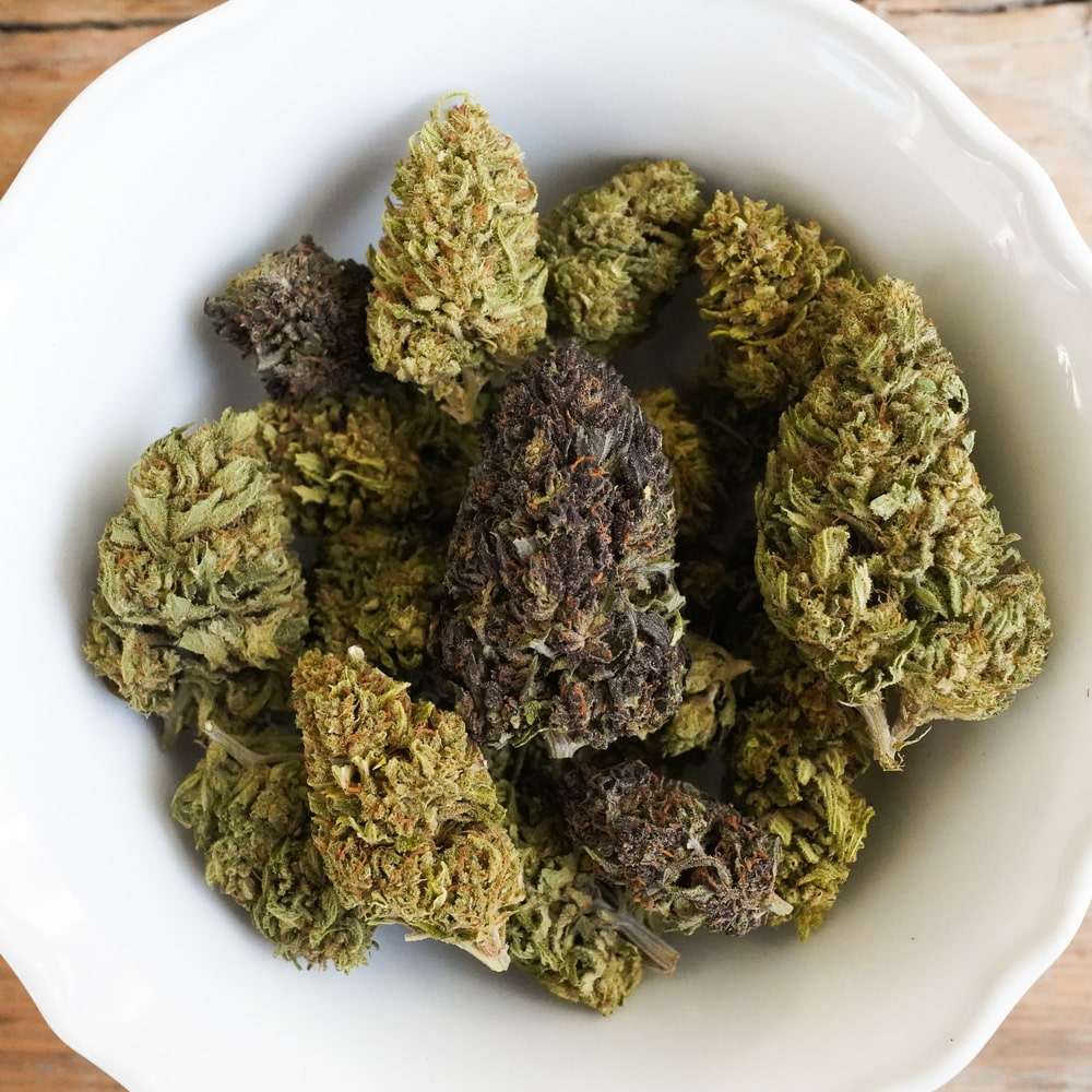 Tropical Tempest Hemp Flower