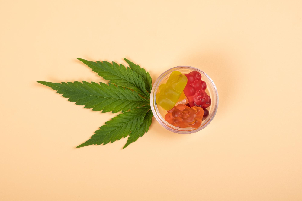 Can You Eat CBD Gummies?