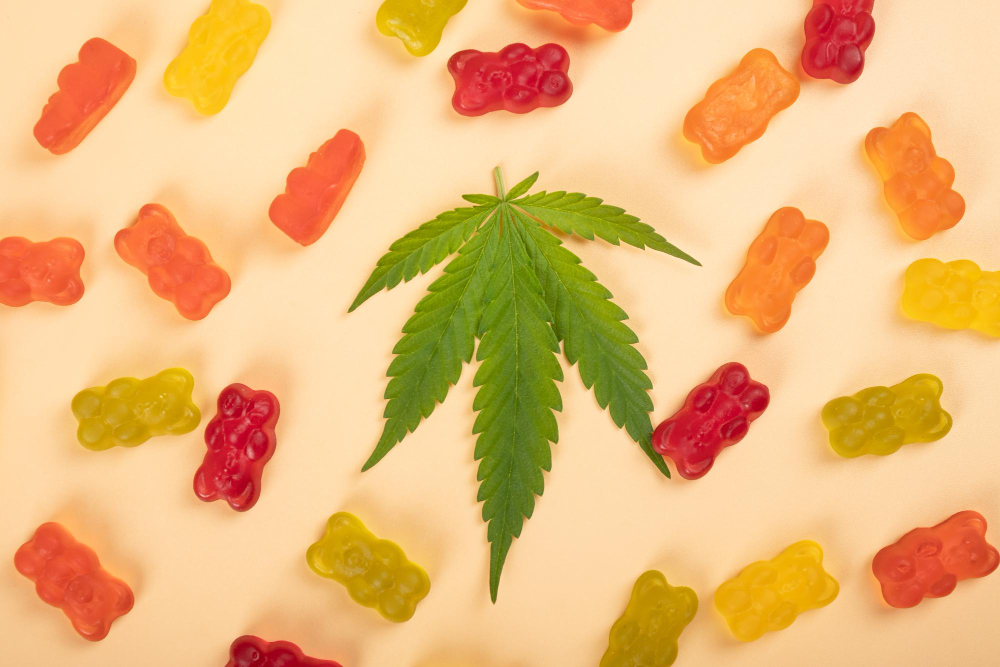 hemp vs cbd gummies