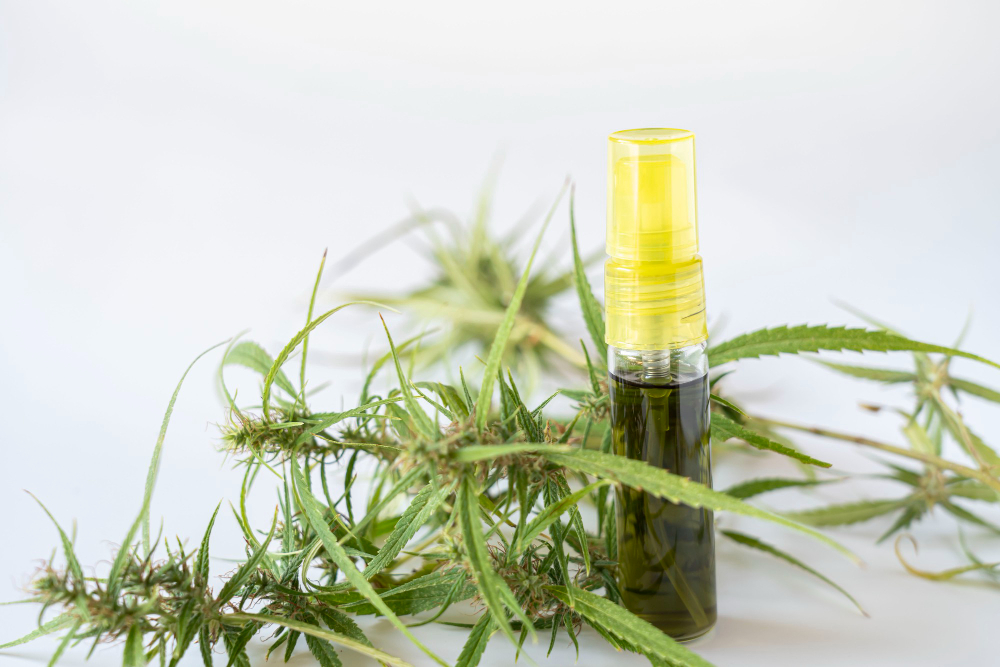 High Quality CBD Products for Wellness & Relief