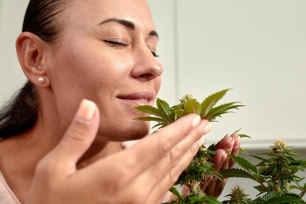 Does CBD Make Your Skin Glow?
