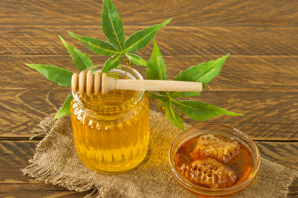 CBD Honey Sticks Guide