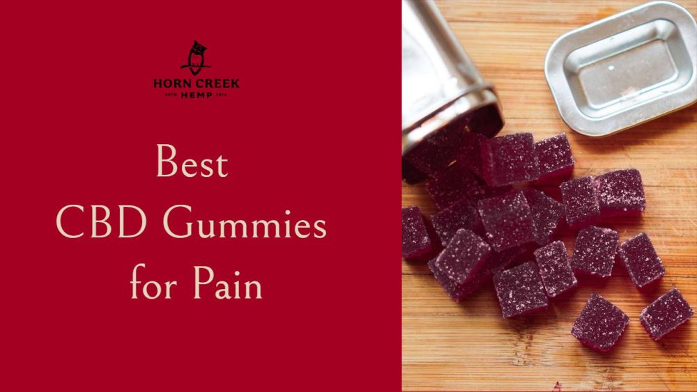 Best CBD Gummies for Pain