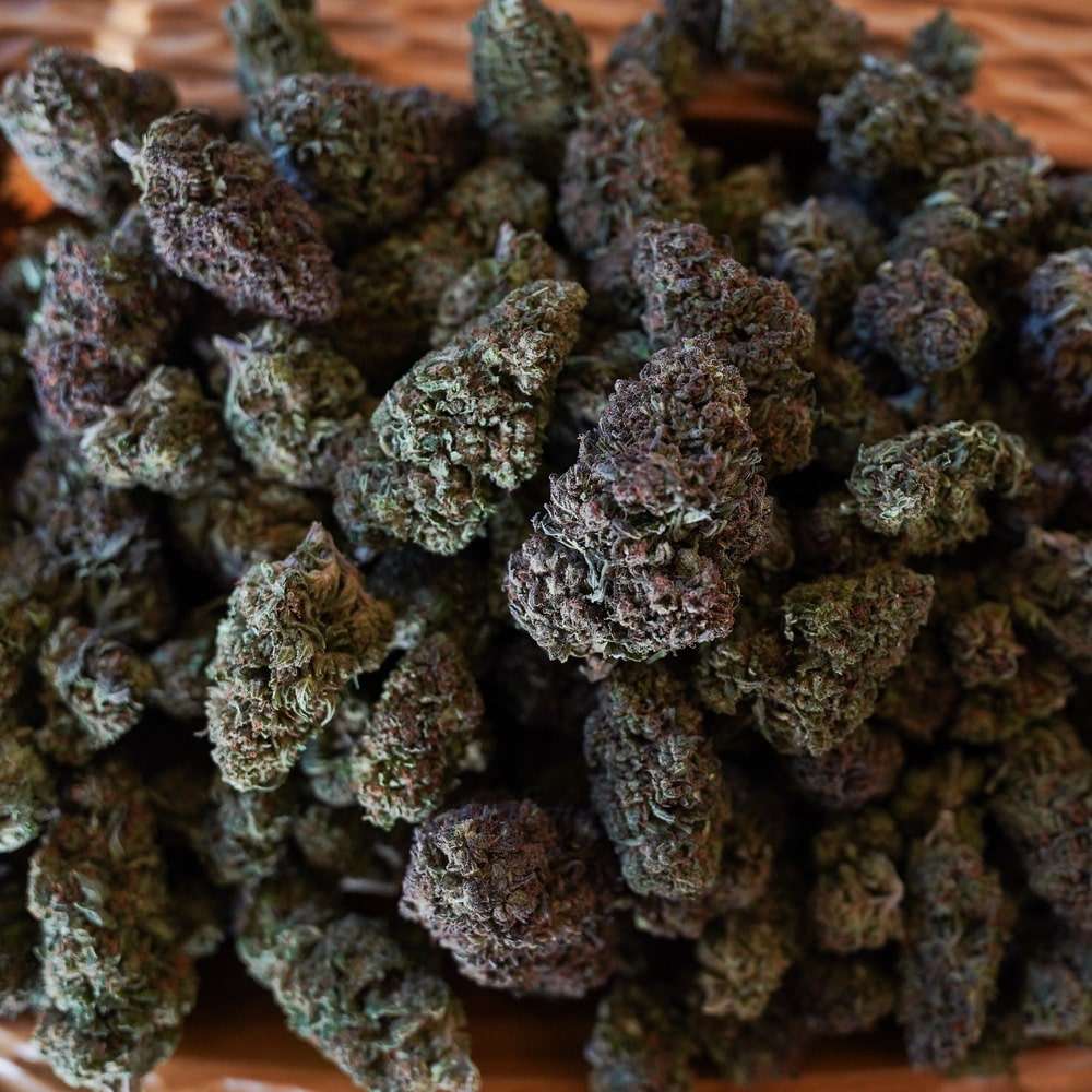 Blue Magnolia Hemp Flower