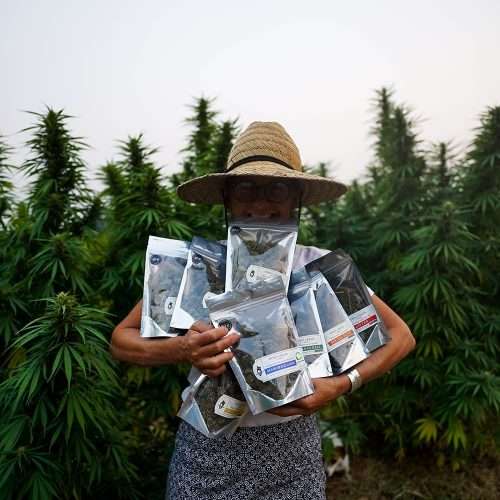 fat ounce hemp flowers