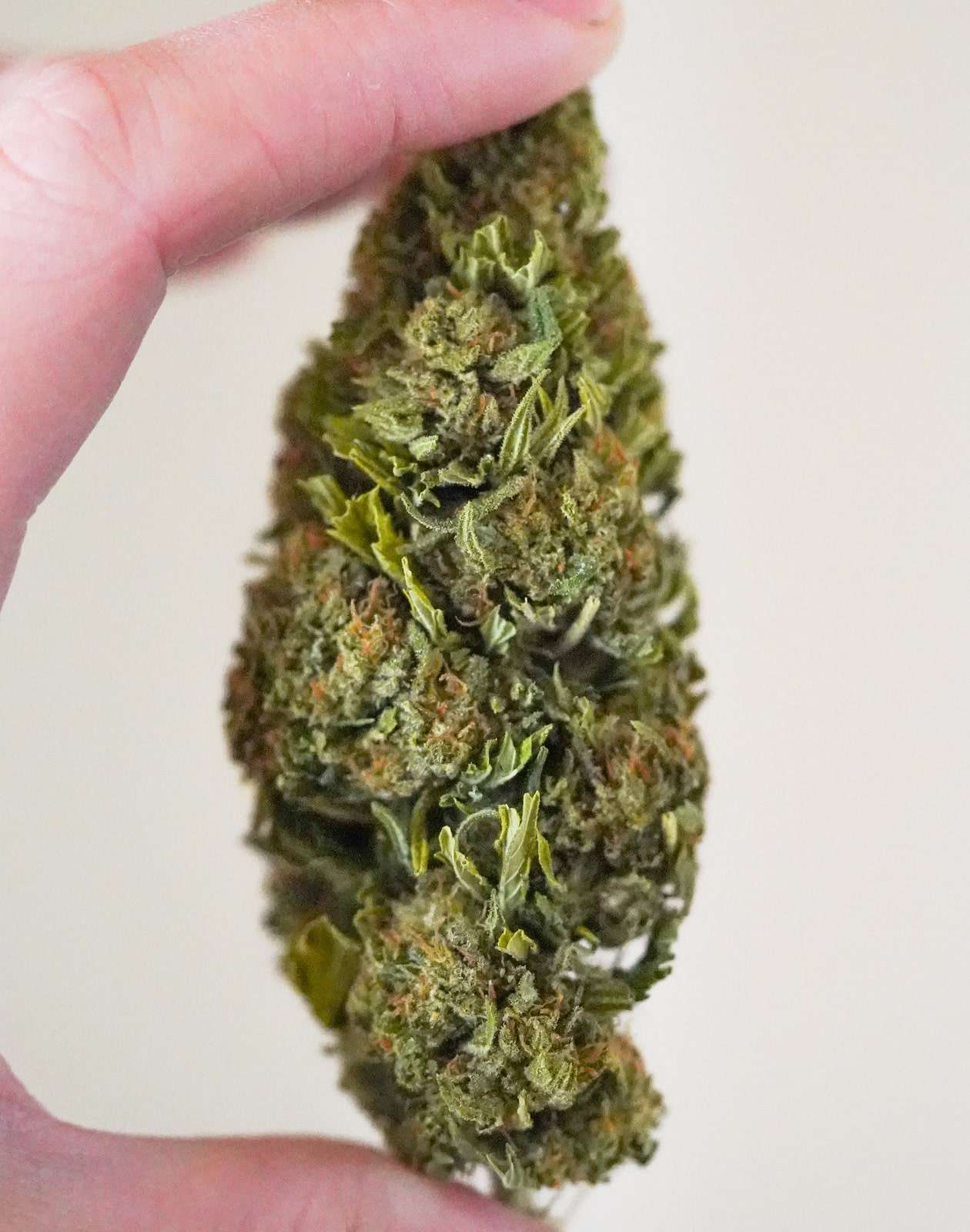 Hawaiian Haze Hemp Flower