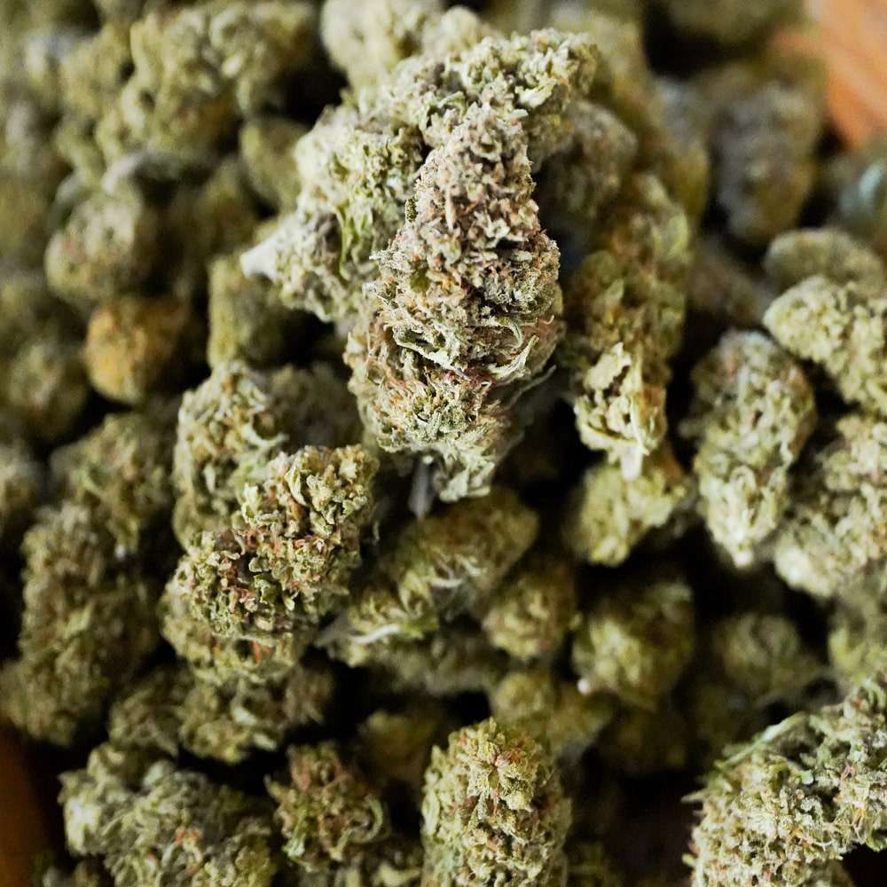 Hawaiian Haze Hemp Flower