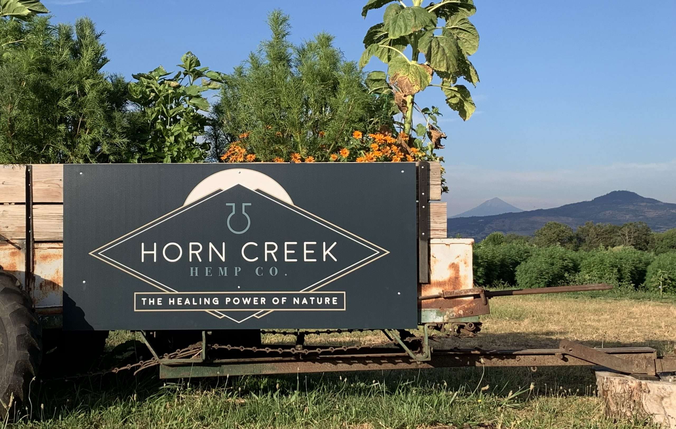 horn creek hemp logo sign on trailer in hemp fields