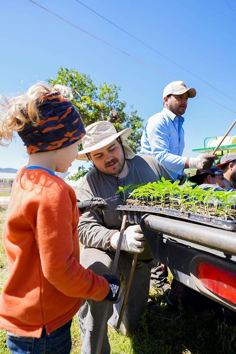 horn creek family planting
