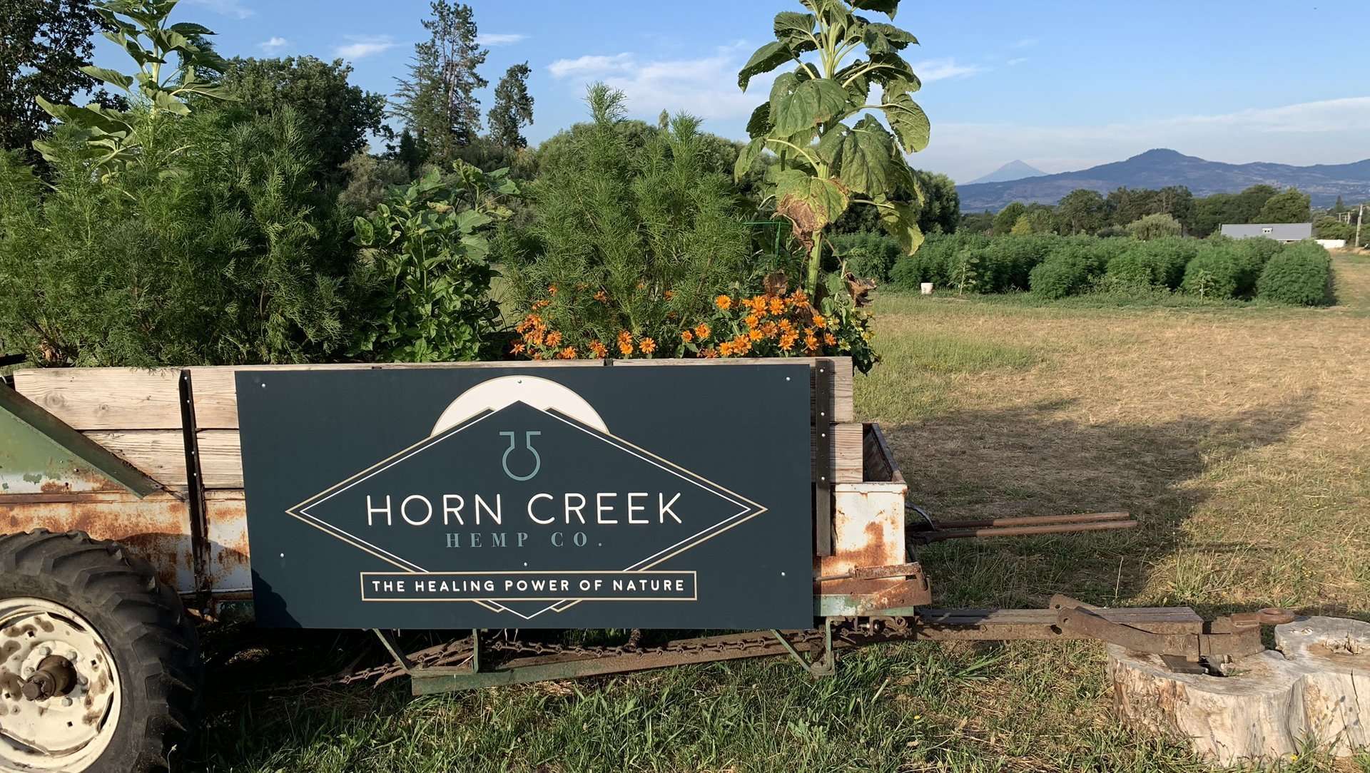 horn creek logo on trailer in hemp fields