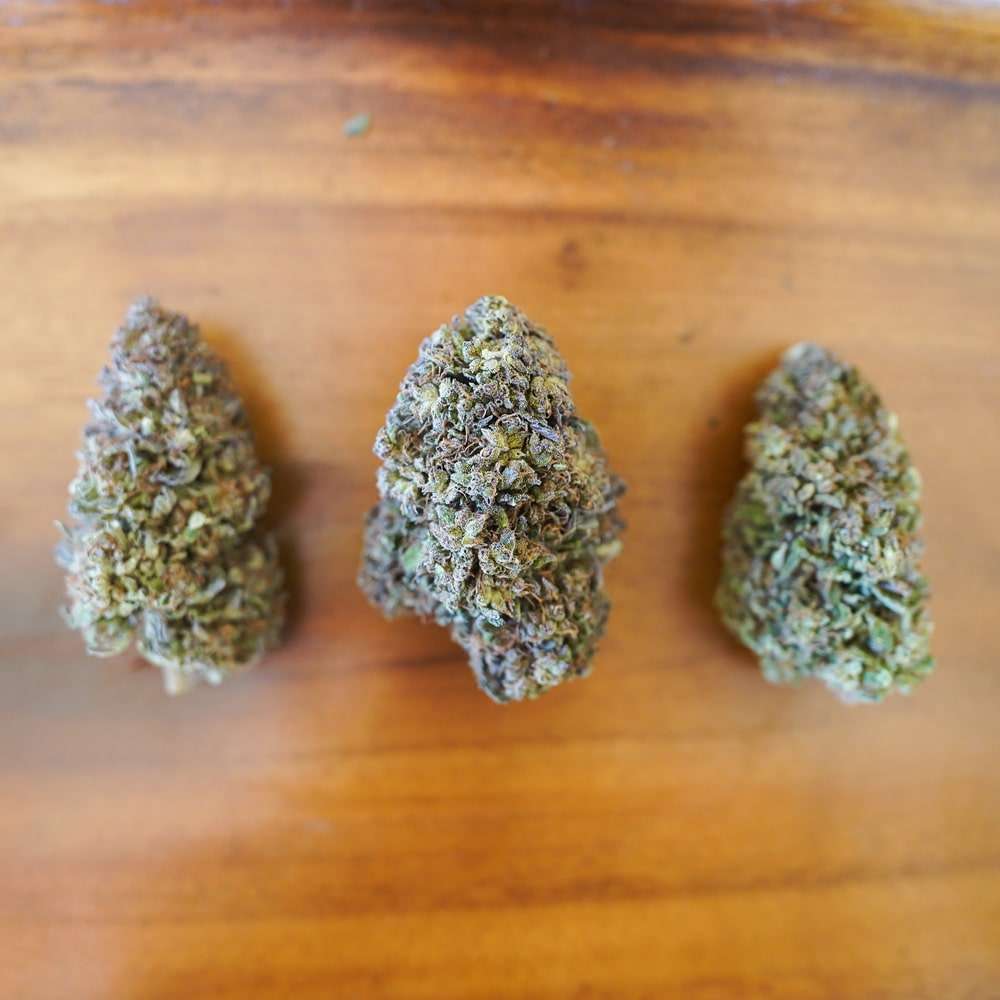 Lazie OG Hemp Flower