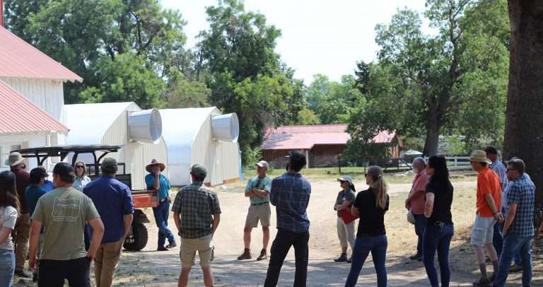 osu visiting horn creek's farm