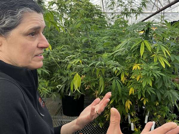 osu researcher with horn creek