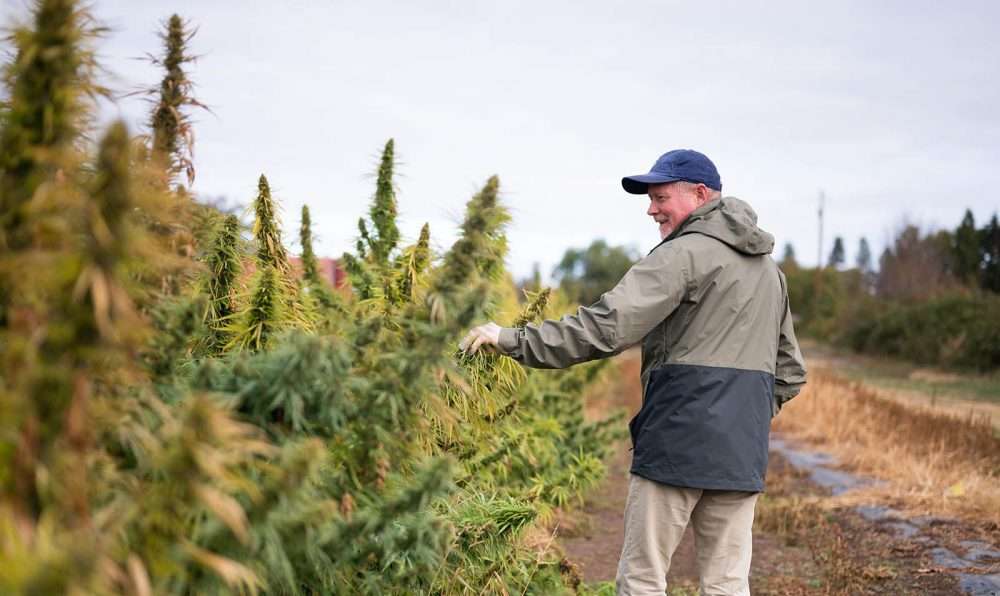 paul walking with plants