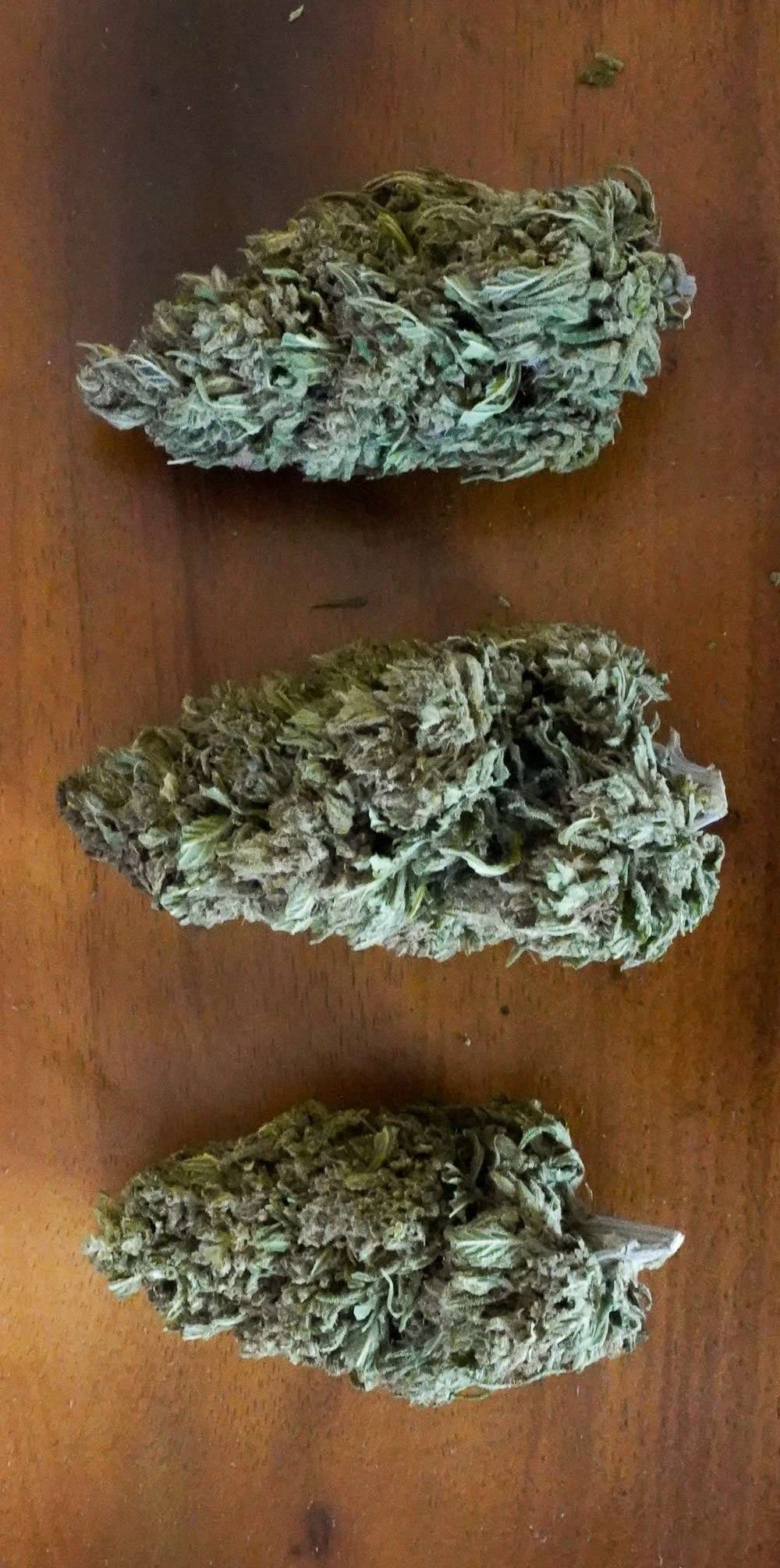 Pineapple Kush Hemp Flower