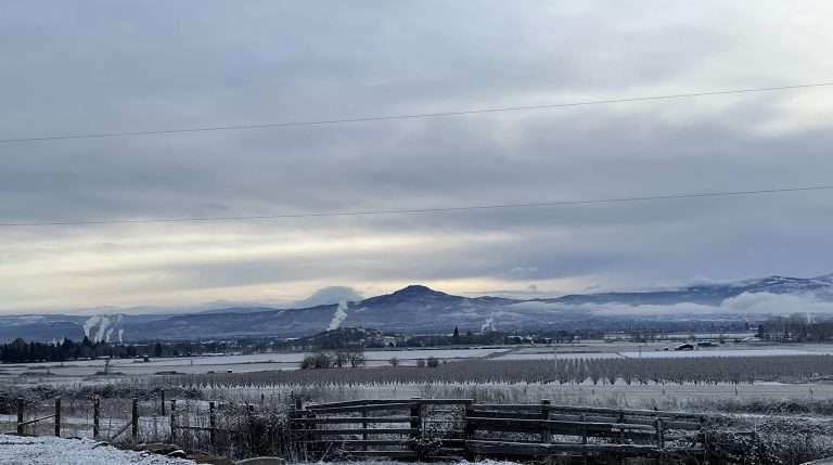 Views From Southern Oregon