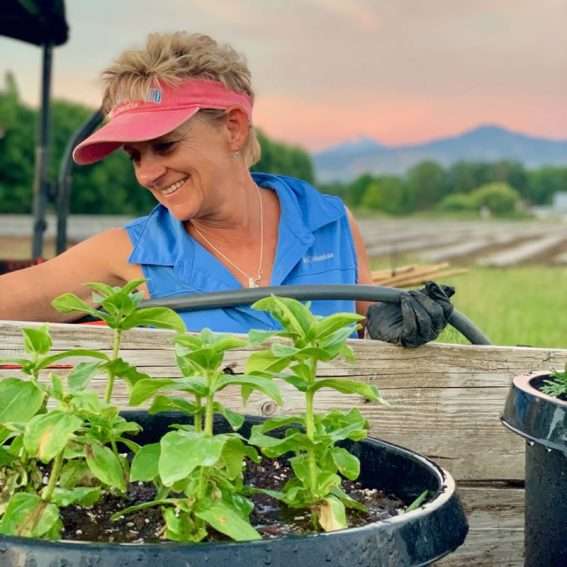 horn creek hemp team member gardening