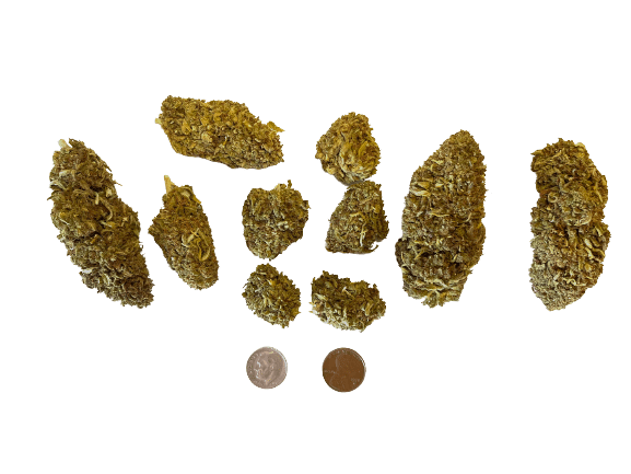 big hemp flower buds