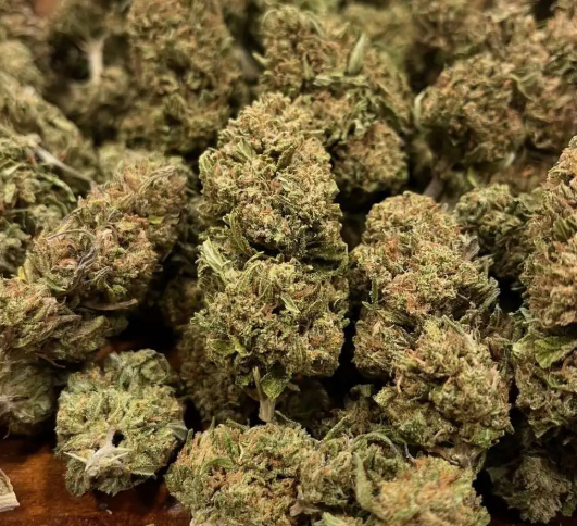 blue orchid hemp flower