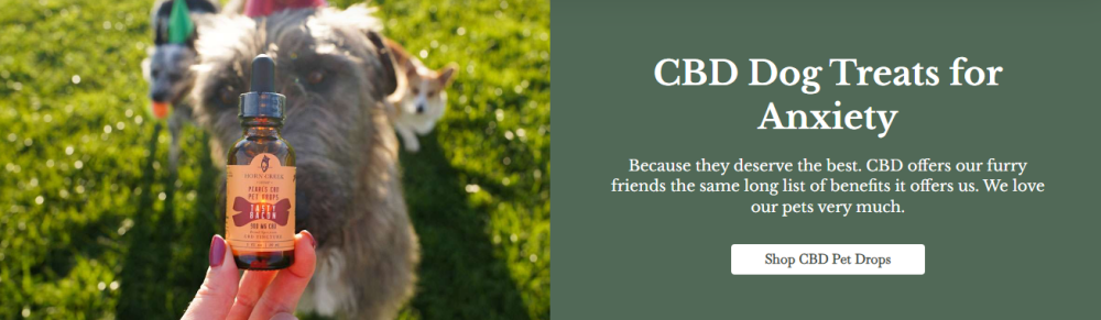 cbd dog treats for labrador