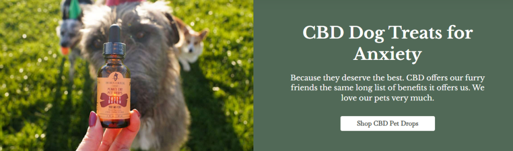 cbd for pet