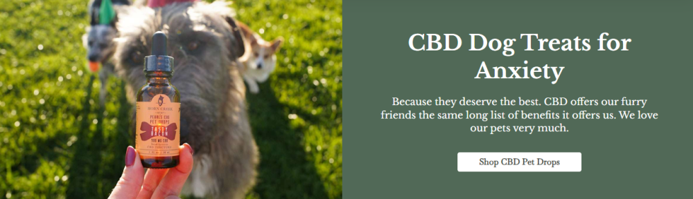 cbd for dog anxiety cbd oil for dog anxiety