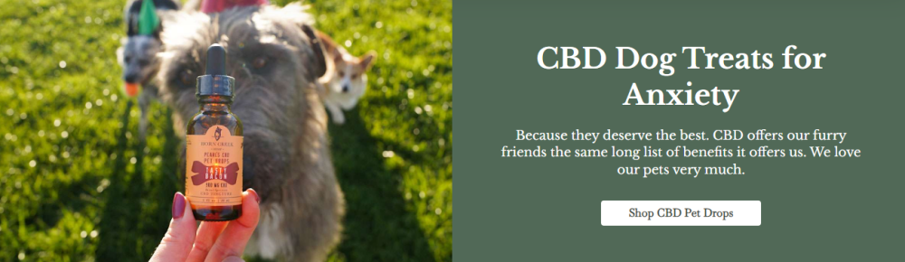 cbd for pets cbd products for pets