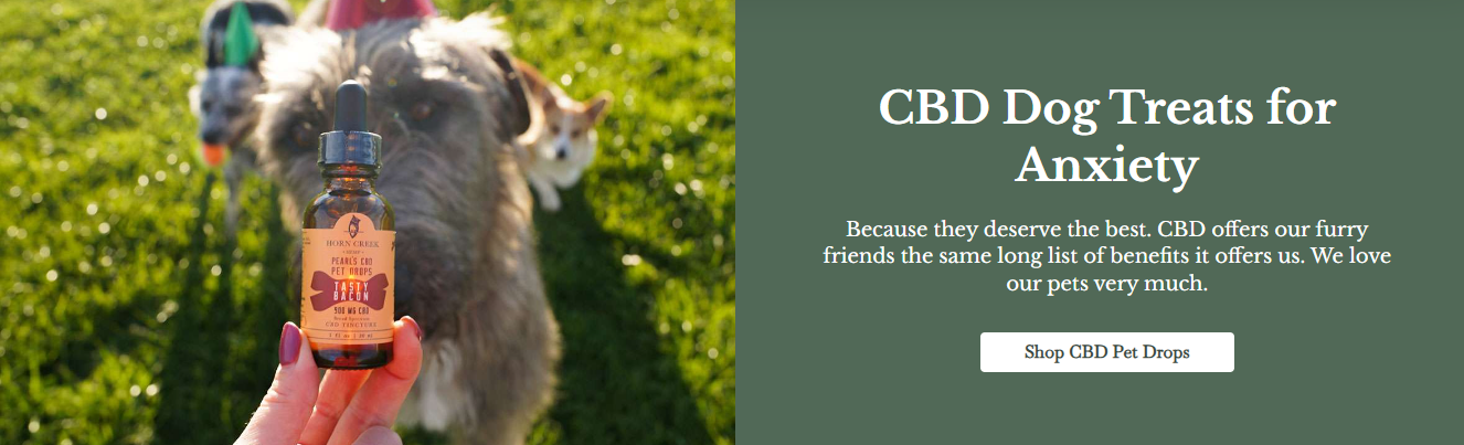 CBD treats for puppies