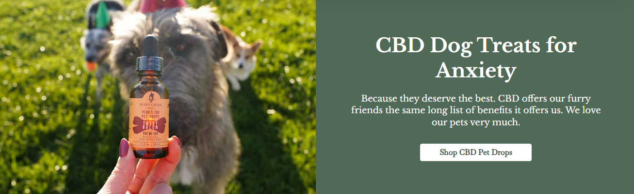 CBD treats for your dog