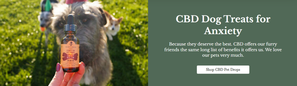 Dog CBD Benefits Dog CBD