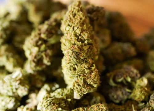 Legendary Jack Hemp Flower