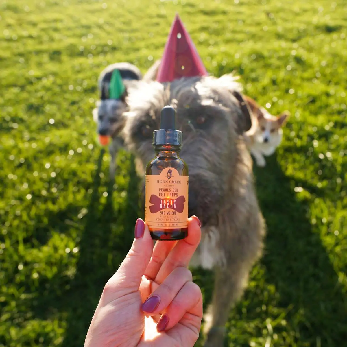 CBD pet drops